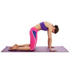 Fisioterapia e exercicios para osteocondrose
